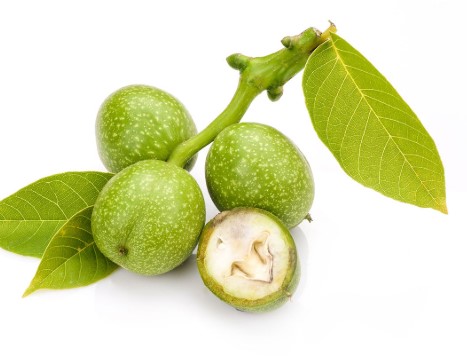 نهال گردو سنجو